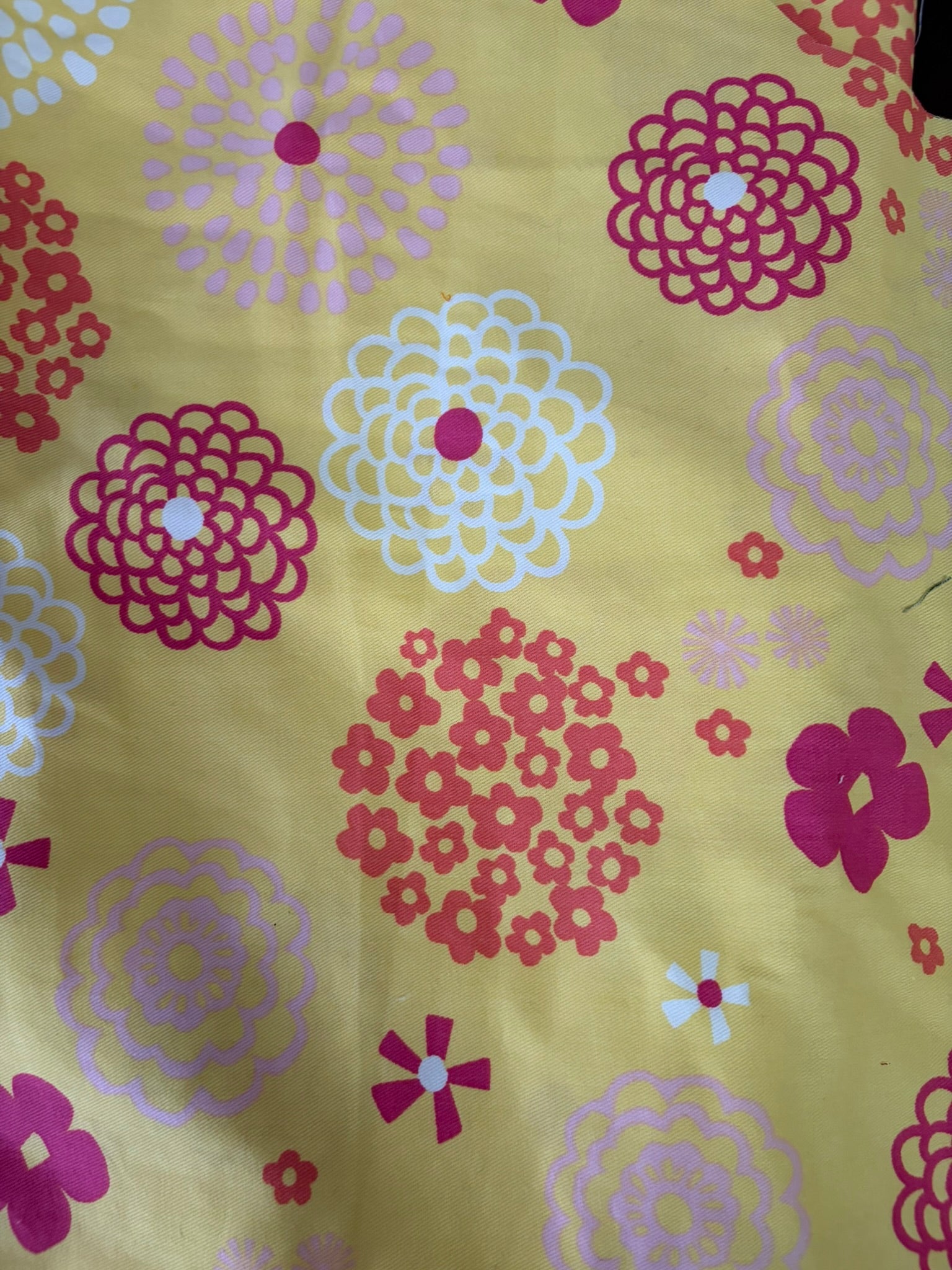 Toe-tally Fresh Pointe Shoe Inserts